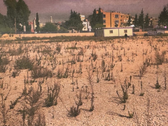Amroussieh, Choueifat, ,Land,For Rent,2111