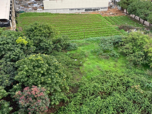 Horsh Tabet, Matn, ,Land,For Sale,2270