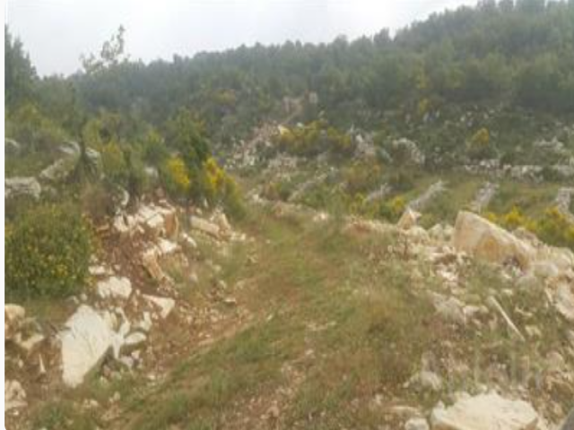 Byblos, Jbeil, ,Land,For Sale,1094
