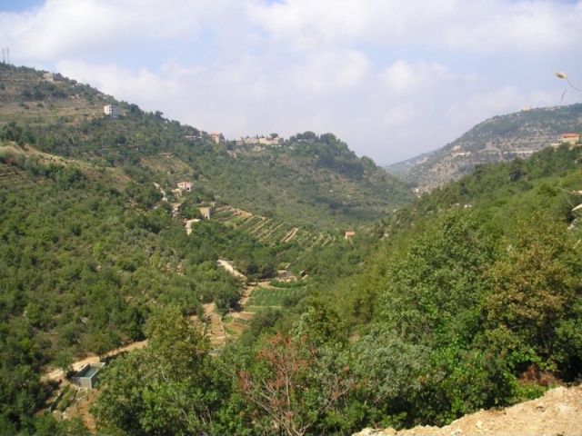 Choualiq, Jezzine, ,Land,For Sale,1409