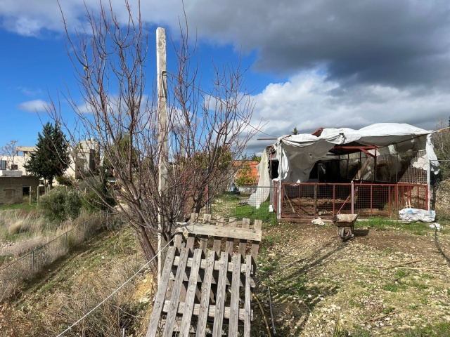 Saida, 1 Room Rooms,Land,For Sale,1417