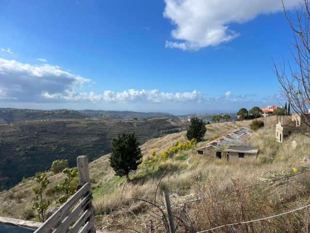 Saida, 1 Room Rooms,Land,For Sale,1417